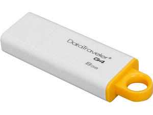  USB3.0 8Gb Kingston DTIG4/8GB